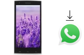 So installieren Sie WhatsApp auf einem VC Lavender II