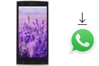 So installieren Sie WhatsApp auf einem VC Lavender