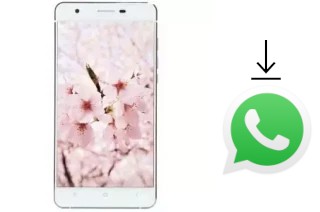 So installieren Sie WhatsApp auf einem VC Maple II