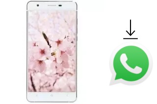 So installieren Sie WhatsApp auf einem VC Maple