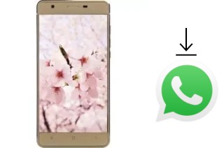 So installieren Sie WhatsApp auf einem VC Sakura II