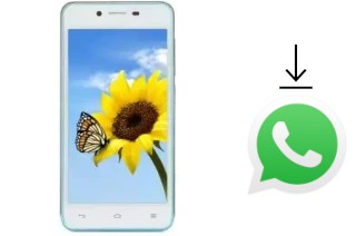 So installieren Sie WhatsApp auf einem VC Sunflower