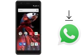 So installieren Sie WhatsApp auf einem Vertex Impress Flash