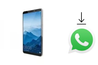 So installieren Sie WhatsApp auf einem VINOVO K10