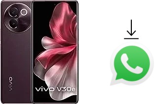 So installieren Sie WhatsApp auf einem vivo V30e