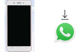 So installieren Sie WhatsApp auf einem vivo Y55A