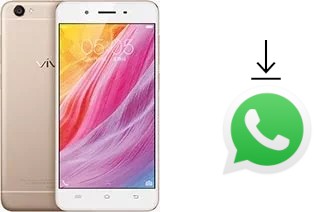 So installieren Sie WhatsApp auf einem vivo Y55s