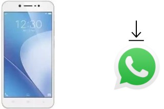 So installieren Sie WhatsApp auf einem Vivo Y66