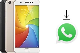 So installieren Sie WhatsApp auf einem vivo Y69