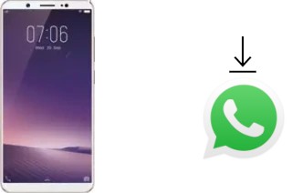 So installieren Sie WhatsApp auf einem Vivo Y79