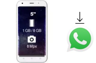 So installieren Sie WhatsApp auf einem Wieppo S5