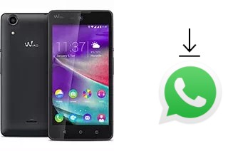 So installieren Sie WhatsApp auf einem Wiko Rainbow Lite 4G