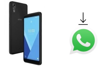 So installieren Sie WhatsApp auf einem Wiko y51