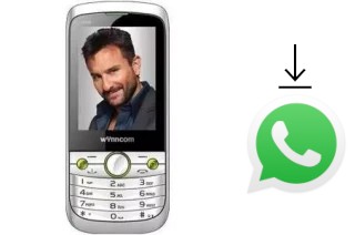 So installieren Sie WhatsApp auf einem Wynncom W405