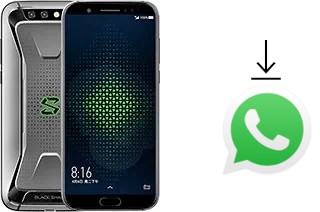 So installieren Sie WhatsApp auf einem Xiaomi Black Shark