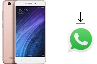 So installieren Sie WhatsApp auf einem Xiaomi Redmi 4a