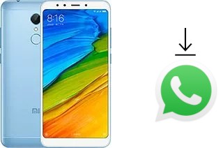 So installieren Sie WhatsApp auf einem Xiaomi Redmi 5