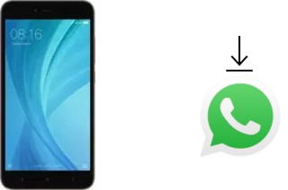 So installieren Sie WhatsApp auf einem Xiaomi Redmi Y1