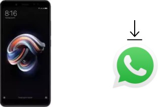 So installieren Sie WhatsApp auf einem Xiaomi Redmi Y2