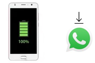 So installieren Sie WhatsApp auf einem Zopo Color X5.5i