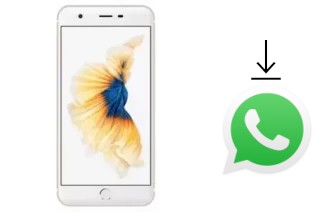 So installieren Sie WhatsApp auf einem ZYQ Q-ME Phone 7 3G