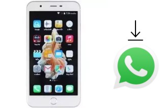 So installieren Sie WhatsApp auf einem ZYQ Q638